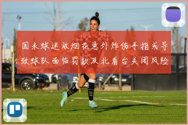 国米球迷放烟花意外炸伤手指或导致球队面临罚款及北看台关闭风险